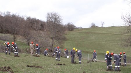 “AzerGold” QSC 10 may Gül Bayramı münasibəti ilə 10 hektar ərazini yaşıllaşdırdı