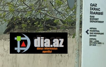 Qaz İxrac İdarəsi məhkəməyə verildi Qaz İxrac İdarəsi məhkəməyə verildi