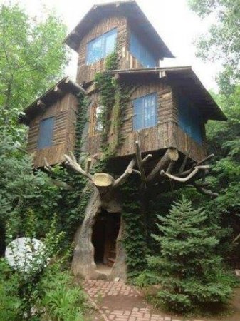 KÜPƏGİRƏN QARININ EVİ TAPILDI - FOTO