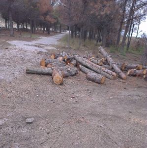 Sumqayıtın icra başçısı bu faktlara necə izahat verəcək Sumqayıtın icra başçısı bu faktlara necə izahat verəcək