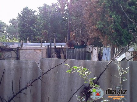 Sumqayıtın icra başçısını məhkəməyə verən vətəndaş şok faktları açıqladı… Sumqayıtın icra başçısını məhkəməyə verən vətəndaş şok faktları açıqladı…