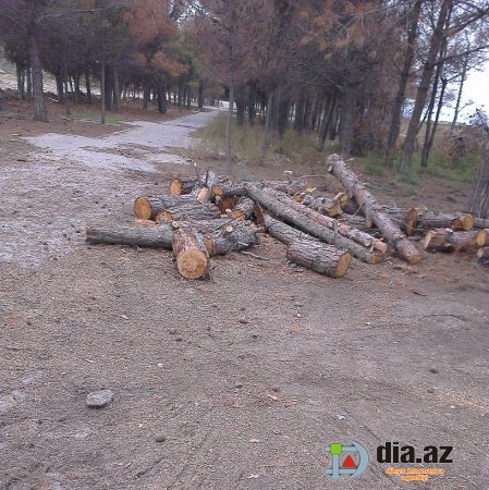 Sumqayıtın icra başçısını məhkəməyə verən vətəndaş şok faktları açıqladı… Sumqayıtın icra başçısını məhkəməyə verən vətəndaş şok faktları açıqladı…
