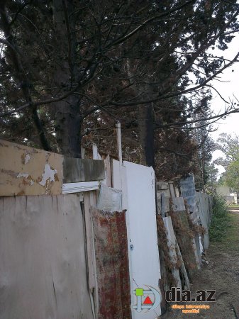 Sumqayıtın icra başçısını məhkəməyə verən vətəndaş şok faktları açıqladıвЂ¦ 