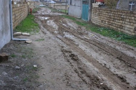 Bələdiyyə və “POLAT” ASC Mehdiabadın yollarına necə “gül” əkdilər? Bələdiyyə və “POLAT” ASC Mehdiabadın yollarına necə “gül” əkdilər?