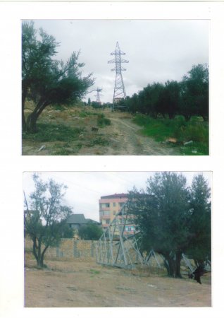 "Əgər mən intihar edərəmsə, bunun məsuliyyəti Etibar Pirverdiyevin üzərinə düşəcək" "Əgər mən intihar edərəmsə, bunun məsuliyyəti Etibar Pirverdiyevin üzərinə düşəcək"