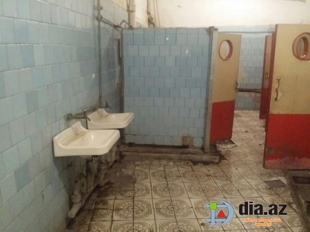 Əbülfəs Qarayev üfunət qoxusunda itib-batan Bakı Sirkini görmürmü? Əbülfəs Qarayev üfunət qoxusunda itib-batan Bakı Sirkini görmürmü?