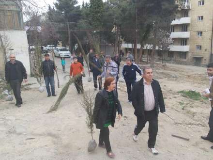 Yasamalda yaşıllığı hədəfə alan qatillər geri çəkilməyibmiş... Yasamalda yaşıllığı hədəfə alan qatillər geri çəkilməyibmiş...