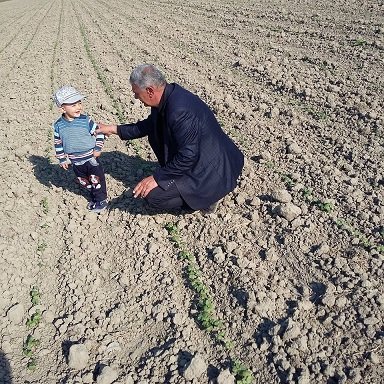 Əgər kənd təsərrüfatının durumu naziri düşündürmürsə... Əgər kənd təsərrüfatının durumu naziri düşündürmürsə...