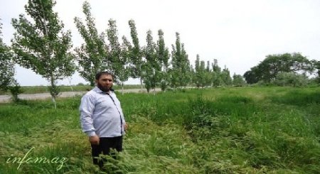 Salyan sakini yerli məmurların əlindən dad deyir