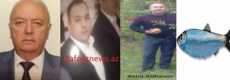 Həmyerlilərini Akif Çovdarova sifariş edən “Akula” Xaliq kimdir? Həmyerlilərini Akif Çovdarova sifariş edən “Akula” Xaliq kimdir?