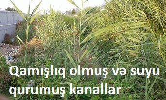 Əhmədzadənin Göyçaydakı adamının mini krallığı... Əhmədzadənin Göyçaydakı adamının mini krallığı...
