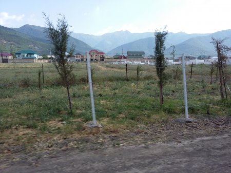 Oğuzda satmadığı yer qoymadı... Oğuzda satmadığı yer qoymadı...