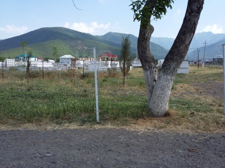 Oğuzda satmadığı yer qoymadı... Oğuzda satmadığı yer qoymadı...