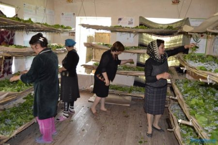 İlham Əliyev neftsiz gələcəyin prioritetlərini və ilkin nəticələri elan edir İlham Əliyev neftsiz gələcəyin prioritetlərini və ilkin nəticələri elan edir