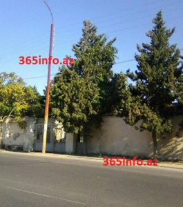 Elsevər Ağayevin də gizli "sağ əli" var imiş... Elsevər Ağayevin də gizli "sağ əli" var imiş...