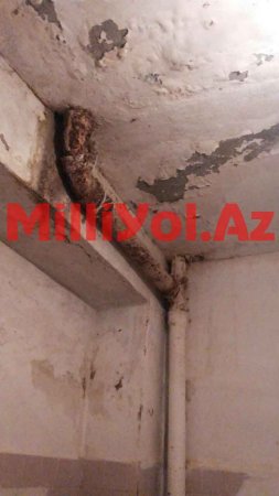 Burda doğmaq bir yana, ölmək belə təhlükəlidir... Burda doğmaq bir yana, ölmək belə təhlükəlidir...