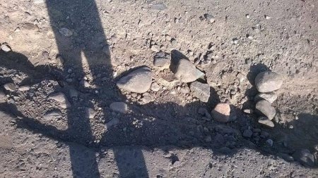 “Prezidentin ayırdığı pul bizim yolumuzun da təmirinə xərclənsin” “Prezidentin ayırdığı pul bizim yolumuzun da təmirinə xərclənsin”