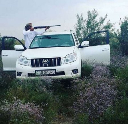 Çobanlarımız atları hesabına ərəb "CİP"lərindən necə pul qazanır? Çobanlarımız atları hesabına ərəb "CİP"lərindən necə pul qazanır?