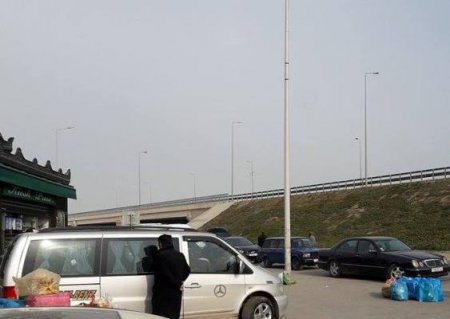 Ziyanı qovdular, qoçuları qalır Ziyanı qovdular, qoçuları qalır