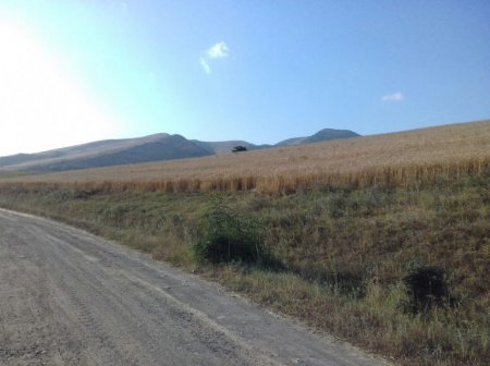 Rövşən Bağırov taxılçılığa belə zərbə vurur Rövşən Bağırov taxılçılığa belə zərbə vurur