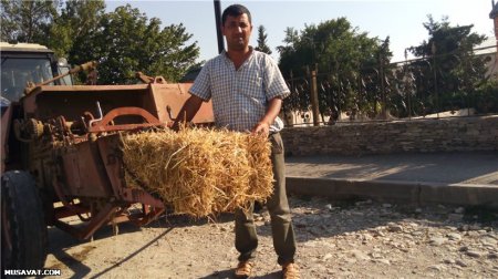 Şamaxıda fermerlərin dizləri yerə gəlib... Şamaxıda fermerlərin dizləri yerə gəlib...