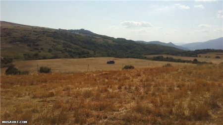 Şamaxıda fermerlərin dizləri yerə gəlib... Şamaxıda fermerlərin dizləri yerə gəlib...