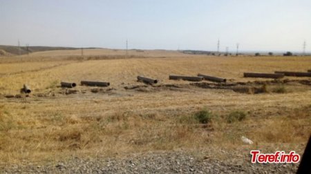 Göyçayda ÖZBAŞINALIQ Göyçayda ÖZBAŞINALIQ