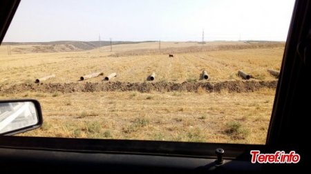 Göyçayda ÖZBAŞINALIQ Göyçayda ÖZBAŞINALIQ