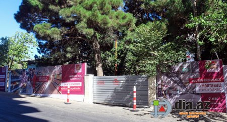 Yasamalda daha bir yaşıllıq massivi məhv edilmə təhlükəsi ilə üz-üzə... Yasamalda daha bir yaşıllıq massivi məhv edilmə təhlükəsi ilə üz-üzə...
