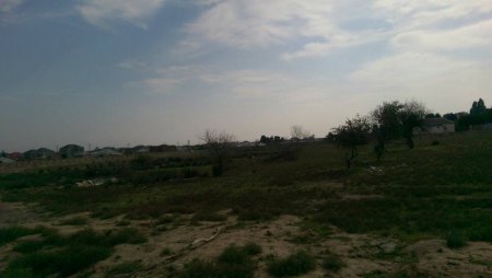 Misir Mərdanovun adamı vətəndaşı incidir Misir Mərdanovun adamı vətəndaşı incidir