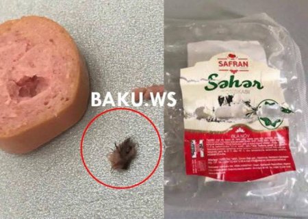 Bəşirovların “Halal nemət, 1000 bərəkət”indən dəhşətli faktlar Bəşirovların “Halal nemət, 1000 bərəkət”indən dəhşətli faktlar