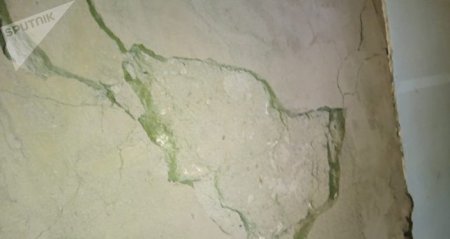 Asif Ağayevi camaatın halı maraqlandırmır Asif Ağayevi camaatın halı maraqlandırmır