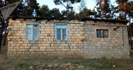 Asif Ağayevi camaatın halı maraqlandırmır Asif Ağayevi camaatın halı maraqlandırmır