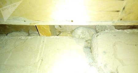 Asif Ağayevi camaatın halı maraqlandırmır Asif Ağayevi camaatın halı maraqlandırmır