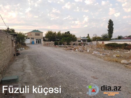 Gül kimi Şabran necə xaraba günə qaldı... Gül kimi Şabran necə xaraba günə qaldı...