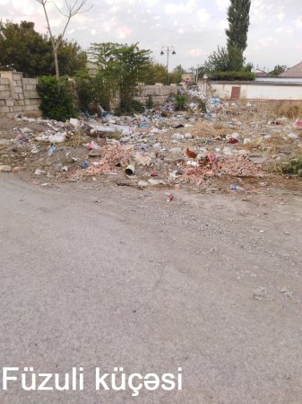 Gül kimi Şabran necə xaraba günə qaldı... Gül kimi Şabran necə xaraba günə qaldı...