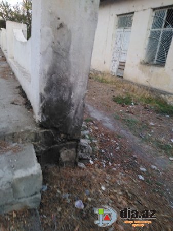 Gül kimi Şabran necə xaraba günə qaldı... Gül kimi Şabran necə xaraba günə qaldı...