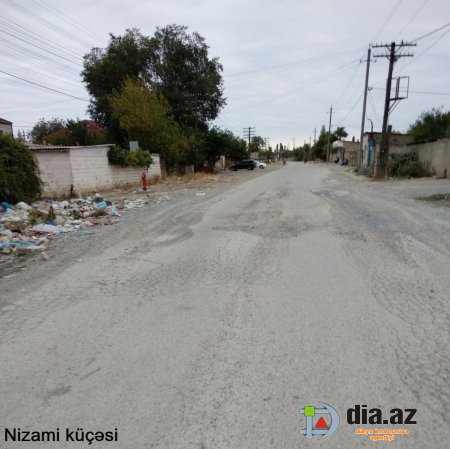 Gül kimi Şabran necə xaraba günə qaldı... Gül kimi Şabran necə xaraba günə qaldı...