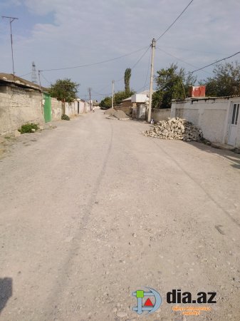 Gül kimi Şabran necə xaraba günə qaldı... Gül kimi Şabran necə xaraba günə qaldı...