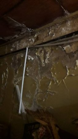 Ağdam qaçqınlarından prezidentə müraciət Ağdam qaçqınlarından prezidentə müraciət