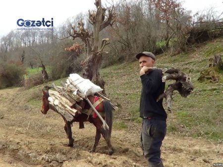 Qəzənfər Ağayev heç bu kəndə ayaq basıbmı? Qəzənfər Ağayev heç bu kəndə ayaq basıbmı?