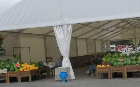 İnam Kərimovun çadırda yemiş biznesi: İnam Kərimovun çadırda yemiş biznesi: