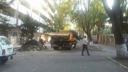 Tovuzun icra başçısı bu işi gizlincə edir... Tovuzun icra başçısı bu işi gizlincə edir...
