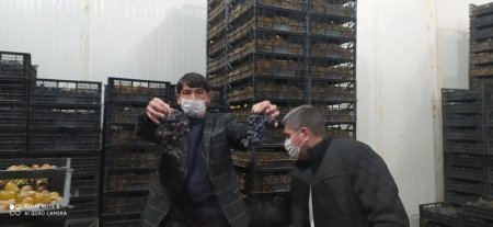 Tovuzda sahibkarlar “qan ağlayır”, iki nazirlik susur Tovuzda sahibkarlar “qan ağlayır”, iki nazirlik susur