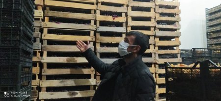 Tovuzda sahibkarlar “qan ağlayır”, iki nazirlik susur Tovuzda sahibkarlar “qan ağlayır”, iki nazirlik susur