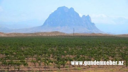 Qohumları onun hesabına istədiklərini edirlər... Qohumları onun hesabına istədiklərini edirlər...