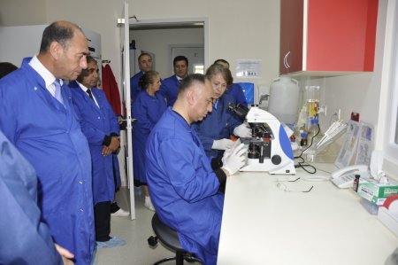 Təhməzlinin işçiləri narazılıq yaradır...