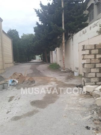 Ziya Məmmədovun qardaşının adamı "bu, bizim küçədir" deyir Ziya Məmmədovun qardaşının adamı "bu, bizim küçədir" deyir