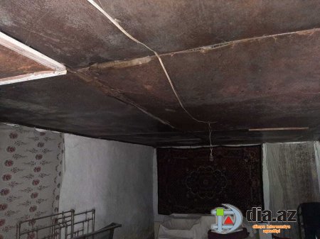 "Qarşıdan payız-qış gəlir, mən suyun içində yaşayacağam?" "Qarşıdan payız-qış gəlir, mən suyun içində yaşayacağam?"