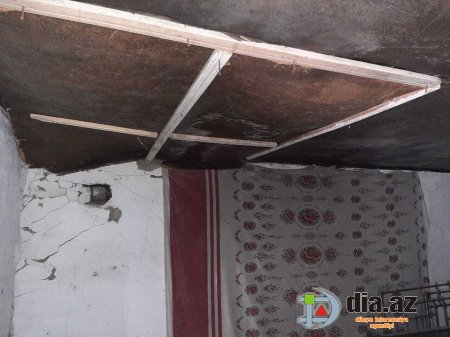 "Qarşıdan payız-qış gəlir, mən suyun içində yaşayacağam?" "Qarşıdan payız-qış gəlir, mən suyun içində yaşayacağam?"